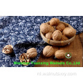 Beste Walnut Kernels Light Pieces (LP)